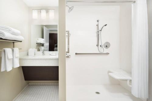 a bathroom with a shower and a sink at TownePlace Suites by Marriott Leesburg in Leesburg