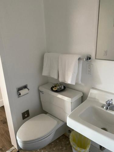 Baño blanco con aseo y lavamanos en Innovative Studio Apartment, en Gadsden
