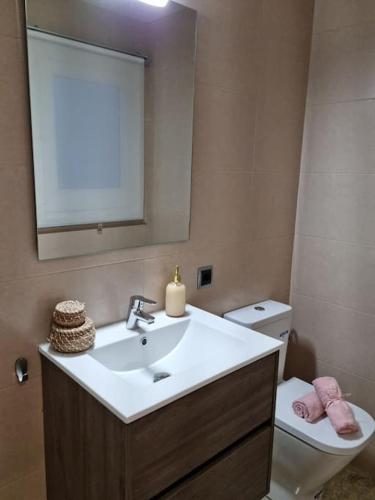 a bathroom with a sink and a toilet and a mirror at Ca la Pauleta in Sant Hilari Sacalm