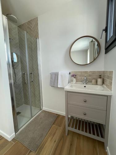 une salle de bain avec une douche, un lavabo et un miroir dans l'établissement AU COIN DES LUQUETTES, à Laouque
