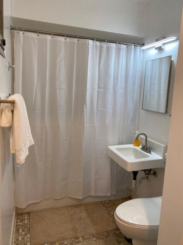 y baño con cortina de ducha, aseo y lavamanos. en Sophisticated studio apartment in Gadsden, AL, en Gadsden