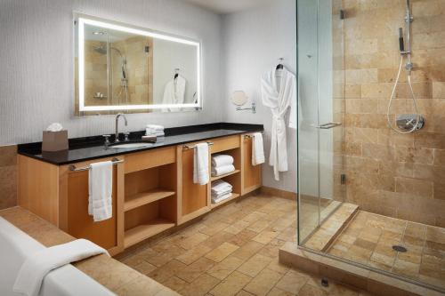La salle de bains est pourvue d'un lavabo et d'une douche. dans l'établissement The Westin St. Louis, à Saint-Louis