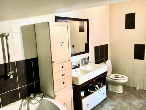 a bathroom with a sink and a toilet at le dépot Appartement du canal 80m2 à champvert in Champvert