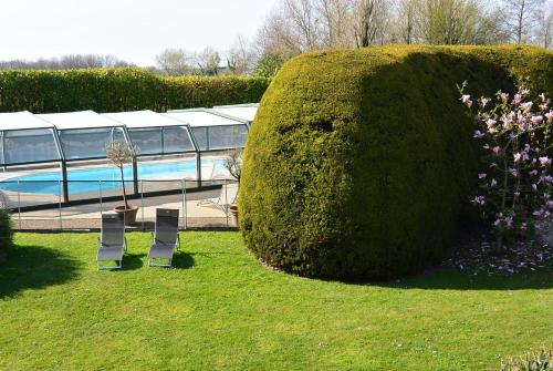a large green bush next to two chairs in a garden at Hotel Nuit Et Jour - La Maison de Lucile in Cancale