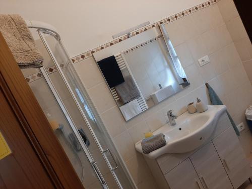 a bathroom with a sink and a shower and a mirror at La casetta di Bianca in Riccò del Golfo di Spezia