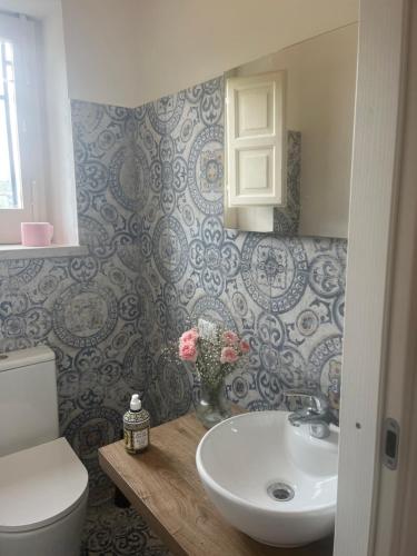 a bathroom with a sink and a toilet at Villetta con Oliveto CFG in Prizzi