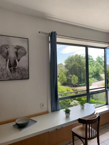 una habitación con una mesa y una ventana con un elefante en Studio Bourran + parking en Rodez