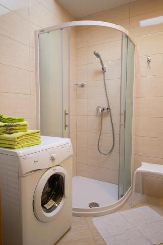 Koupelna v ubytování Garden Apartments Janša