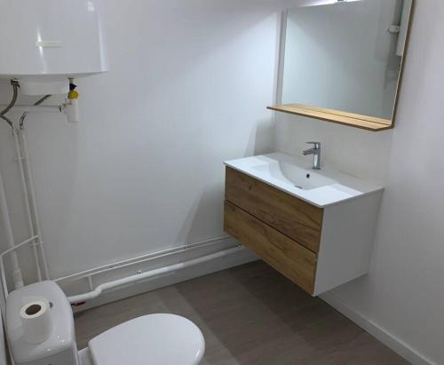 a bathroom with a toilet and a sink and a mirror at Spacieux T3 Hypercentre Proche Cathédrale in Albi
