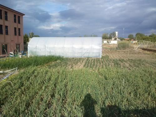 a large white building in a field of tall grass at Hotel Casa Aurelia in Villaralbo