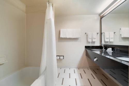 ローレルにあるFairfield Inn by Marriott Laurelのシャワー、洗面台、浴槽を備えたバスルーム