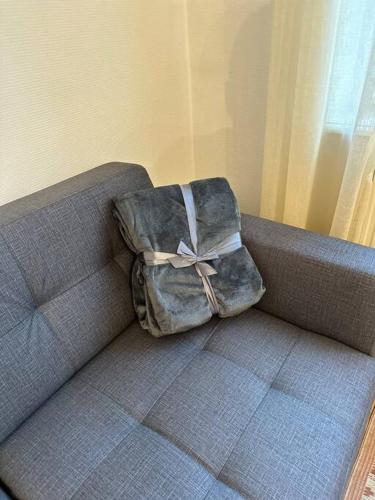 un sac assis sur un canapé dans l'établissement A2D Bel appartement, Nancy Thermal, à Nancy