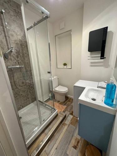 une salle de bain avec une douche, des toilettes et un lavabo dans l'établissement A2D Bel appartement, Nancy Thermal, à Nancy