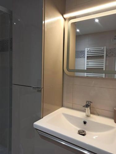 La salle de bains est pourvue d'un lavabo, d'un miroir et d'un réfrigérateur. dans l'établissement Appartement cosy au coeur du Mercantour, à Valdeblore
