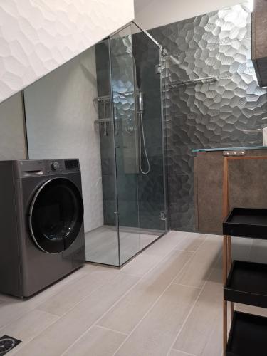 a washing machine in a bathroom with a glass shower at Mama Fox in Alepou
