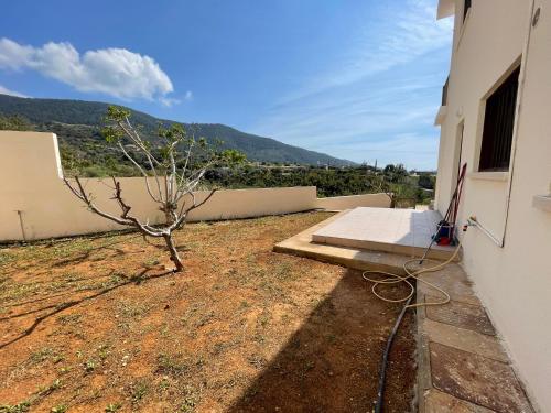 a building with a table and a tree next to it at Nysa8 in Paphos City
