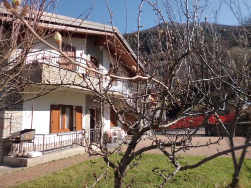 a white house with a tree in front of it at Casa Vacanza Dal Contadino CIR O17063 in Alpe Strencia
