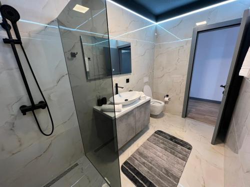 Crystal Apartments Old Town Sarajevo في سراييفو: حمام مع دش ومغسلة ومرحاض