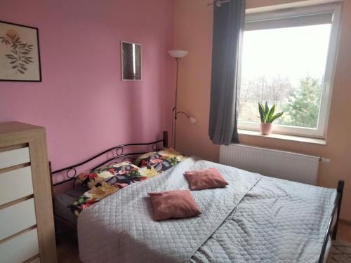 1 dormitorio con 1 cama con 2 almohadas en Apartament SYLVIA Self Check-In Netflix, en Rzeszów