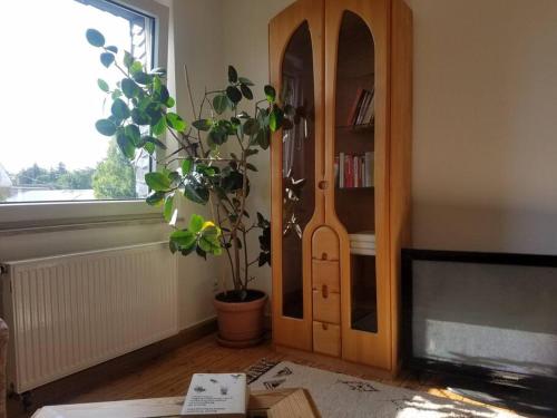 a living room with a book shelf and a plant at Ferienwohnung Alte Schule Kail in Kail