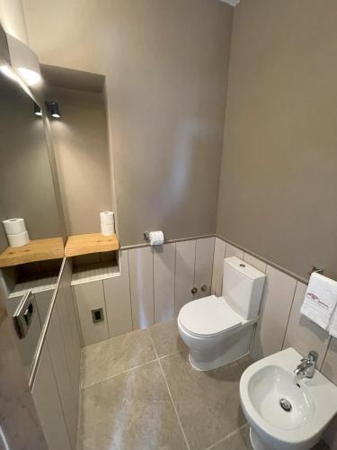 a bathroom with a toilet and a sink at Villa Paladini in Montefiascone