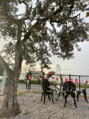 tres sillas y una mesa bajo un árbol en De La Terrasse IZNIK en İznik