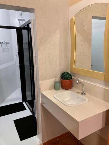 uma casa de banho com um lavatório e um espelho em Duplex do Largo em Curitiba