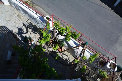 an overhead view of plants behind a fence at Casa do Alfaiate in Chãos