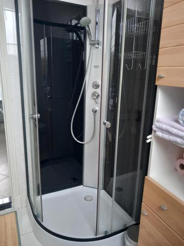 La salle de bains est pourvue d'une douche avec une porte en verre. dans l'établissement Jolie F2 à 5mn de l'aéroport d'Orly, à Paray-Vieille-Poste