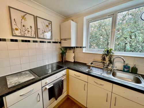a kitchen with white cabinets and a sink and two windows at Central Cambridge Fig Tree house in Cambridge