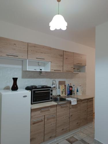 Küche/Küchenzeile in der Unterkunft Apartman VOZIC