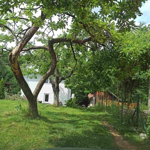 a yard with trees and a white house at Guest House Bee in Visoko
