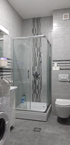a bathroom with a shower with a toilet and a washing machine at Apartman A1 in Bijeljina
