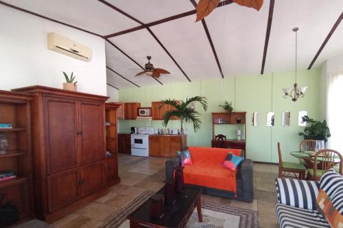 a living room with a couch and a kitchen at Nirvana Apartament Hostal in Alajuela City