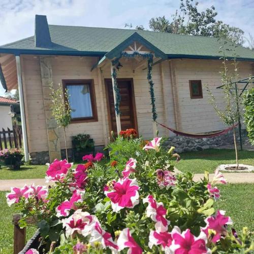 a house with pink flowers in front of it at Rooms and apartmants Mirovic in Kolašin