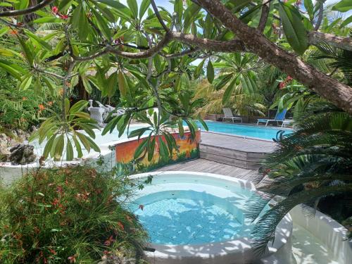 a swimming pool in a garden next to a tree at Le grand palm gîte tobago in Les Basses