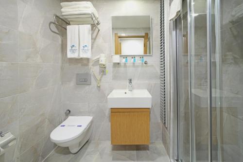 a bathroom with a toilet and a sink and a shower at Istanbul Panorama Hotel in Istanbul