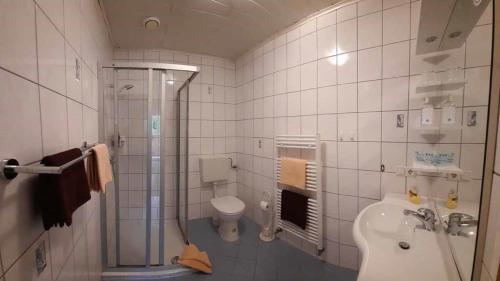 a bathroom with a shower and a toilet and a sink at Ferienwohnungen Bachbauer in Weyregg