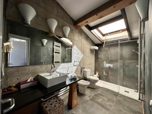 a bathroom with a sink and a shower and a toilet at Loft Rural LaCalata in Calatañazor
