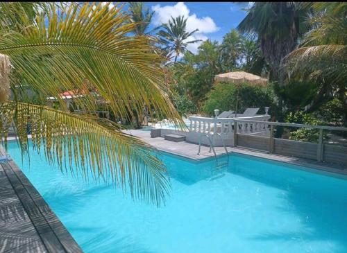 a blue swimming pool with chairs and a palm tree at Le grand palm gîte filao in Les Basses