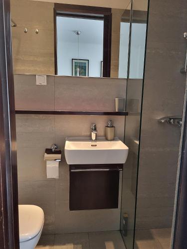 a bathroom with a sink and a toilet and a mirror at Dixy 2 in Belgrade