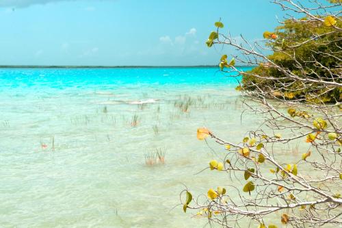 a view of the ocean from the shore of a beach at Hotel Rancho Encantado in Bacalar