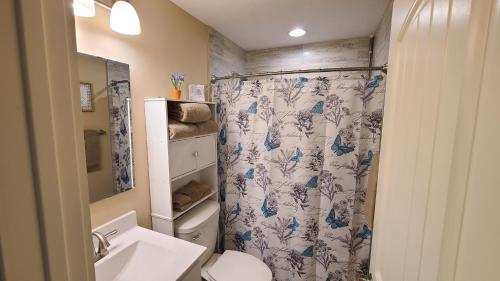 a bathroom with a shower curtain and a sink at 3BR Walk-In with Loft - Pool and Hot Tub - FREE TICKETS INCLUDED - PARA in Branson