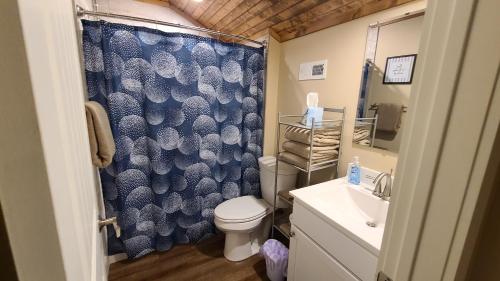 La salle de bains est pourvue de toilettes et d'un rideau de douche bleu. dans l'établissement 3BR Walk-In with Loft - Pool and Hot Tub - FREE ATTRACTION TICKETS INCLUDED - PARA, à Branson