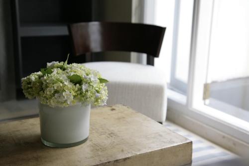 a vase of flowers sitting on a table next to a window at Paradise Road Tintagel Colombo in Colombo