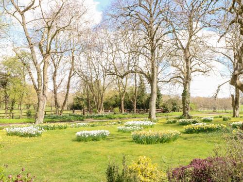 a park with white flowers in the grass at The Stables in East Dereham