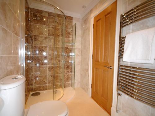 a bathroom with a toilet and a shower at Riviera Apartment in Torquay