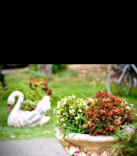 a vase with flowers and two swans in a yard at Apartmani LANA Podgorica in Podgorica