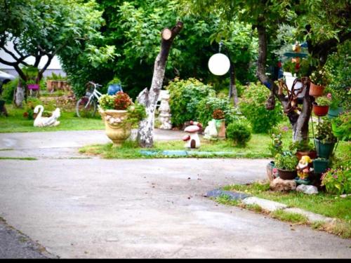 a garden with potted plants and a park with ducks at Apartmani LANA Podgorica in Podgorica