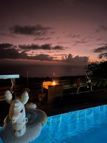 a swimming pool with an inflatable animal in the middle of the water at Dodo House auberge de jeunesse in Saint-Leu